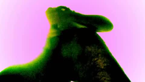 whatsexo online show from February 28, 12:54 am