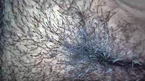 white_sexy_ online show from November 20, 10:15 am