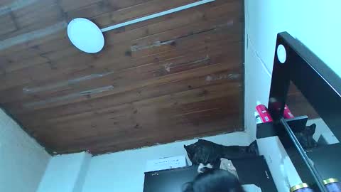 white_sexy_ online show from January 10, 11:09 pm