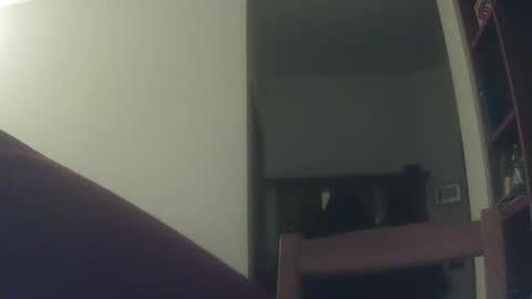 Snapshot of whiteduke81 chatting on December 6, 6:17 pm Whiteduke online show from December 6, 6:17 pm