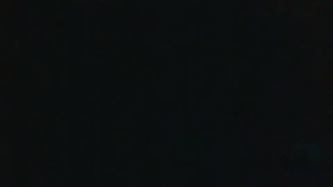 whitehead_lion online show from September 17, 5:25 pm