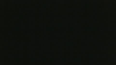 whitehead_lion online show from October 19, 1:01 pm