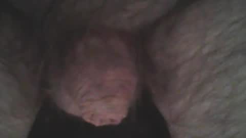 whitemann65 online show from January 2, 10:05 am