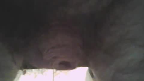 whitemann65 online show from January 2, 1:08 pm