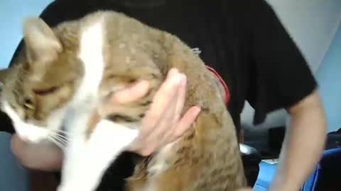 Snapshot of wickes71 chatting on December 30, 10:21 am Tommy online show from December 30, 10:21 am