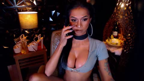 wildara online show from January 21, 10:08 am