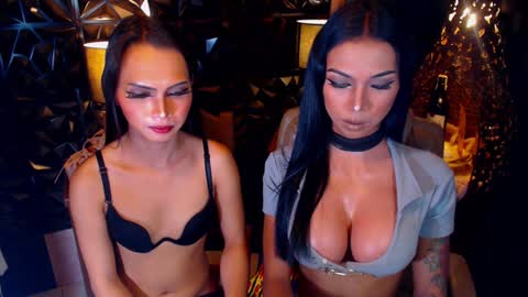 wildara online show from February 3, 11:42 am