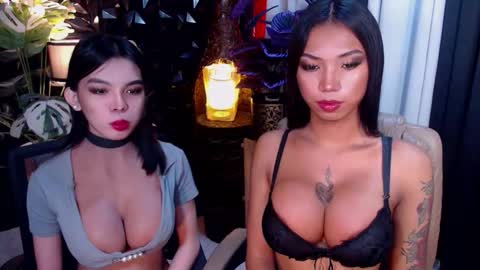 wildara online show from November 21, 10:30 pm