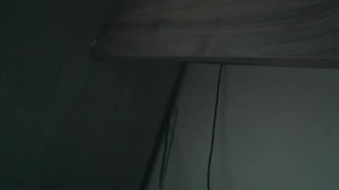 wildbrdick online show from April 16, 2:12 am