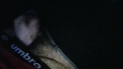 WildeAlex online show from October 17, 11:46 am