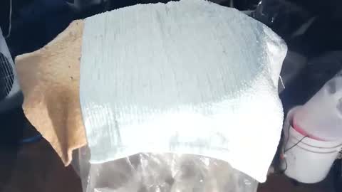 wildman6 online show from November 17, 8:47 pm