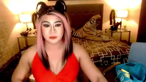 Snapshot of wildtransjhade chatting on January 6, 9:30 am wildtransjhade online show from January 6, 9:30 am