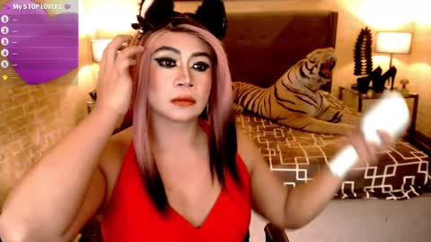 Snapshot of wildtransjhade chatting on January 11, 2:15 pm wildtransjhade online show from January 11, 2:15 pm