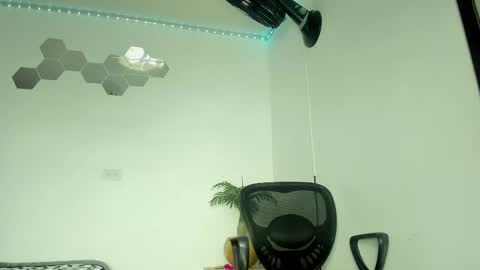 William Parra online show from February 26, 11:26 pm