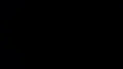 williewants online show from November 27, 10:50 am