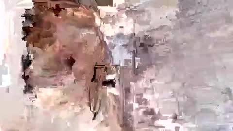 willytal2025 online show from January 13, 7:19 pm