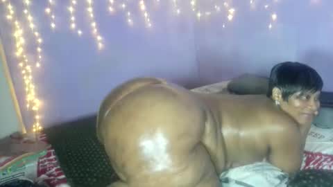 wilmaassylum online show from October 12, 10:36 am