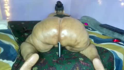 wilmaassylum online show from December 19, 5:58 am