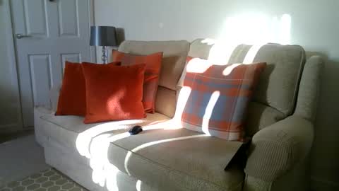 Snapshot of windy19391a chatting on December 2, 10:53 am windy19391a online show from December 2, 10:53 am