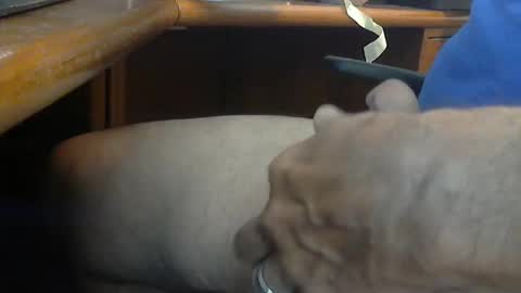 Wineman88886 online show from March 21, 5:05 pm