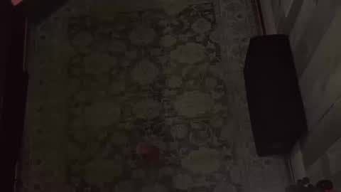 Snapshot of wipwips chatting on February 11, 6:40 am KiwiFruit89 online show from February 11, 6:40 am