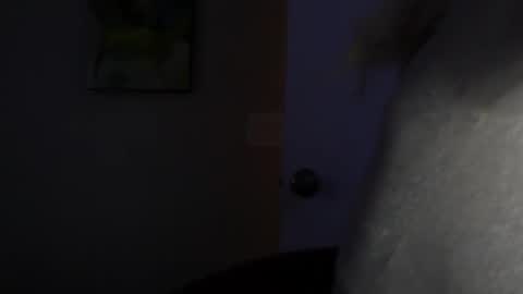 WishGoddes online show from November 12, 8:52 pm