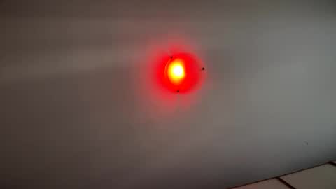 Witebull online show from September 17, 6:59 am