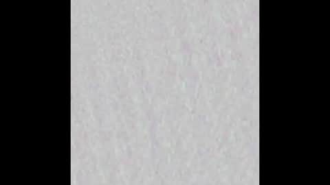 wnhz27 online show from November 25, 10:37 am