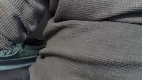 wolfreapsurass online show from February 24, 3:15 am