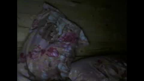 Snapshot of wolfvili chatting on April 15, 6:37 pm Vili online show from April 15, 6:37 pm
