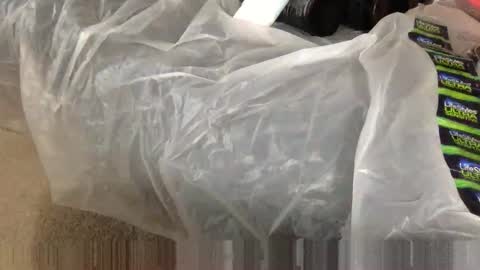 Snapshot of wolfyi chatting on February 5, 2:48 pm Sultan Blaze online show from February 5, 2:48 pm