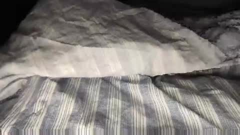 Snapshot of wolfyi chatting on February 8, 10:39 am Sultan Blaze online show from February 8, 10:39 am