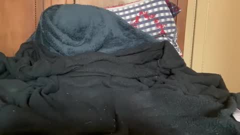 wonkywillywanks online show from January 31, 12:51 pm