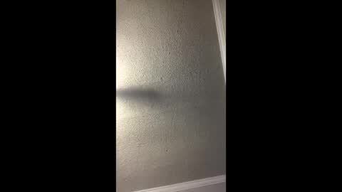 Snapshot of woodpipe69 chatting on December 23, 3:01 pm Woodpipe69 online show from December 23, 3:01 pm