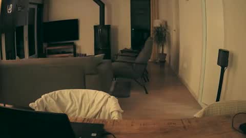 woodwurm and Snoeske online show from January 11, 5:56 am