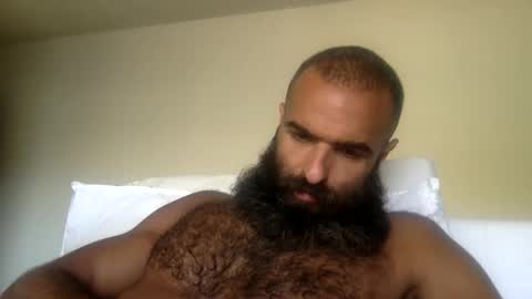 Snapshot of woof_wolf37 chatting on May 31, 5:42 pm woof_wolf37 online show from May 31, 5:42 pm