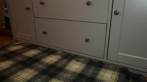 Sage online show from December 21, 4:25 pm