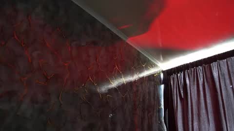 Woondeer online show from February 2, 6:06 pm