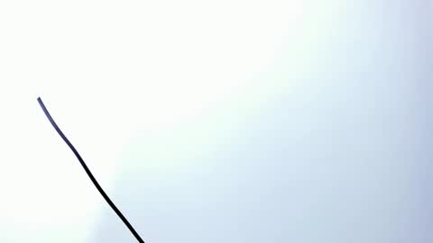 wyatt online show from December 20, 3:13 am