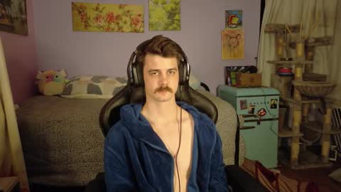 Wyatt online show from January 11, 8:19 am