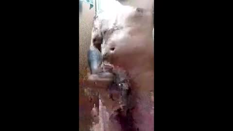 Blk online show from March 29, 11:38 pm