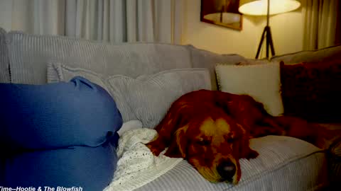 Lily online show from September 15, 11:27 pm