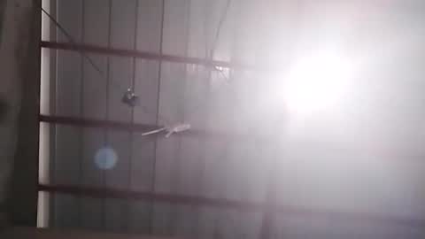 Bella Amor online show from February 24, 7:17 am