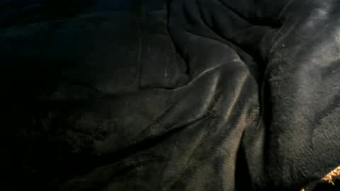 Toke online show from January 6, 12:35 pm