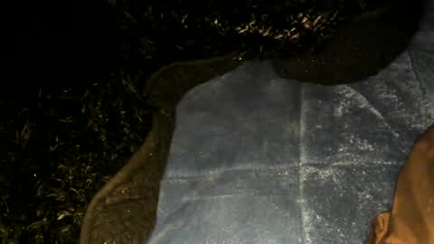 Toke online show from January 22, 9:57 am