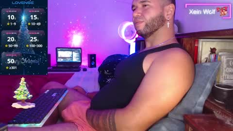 Xein Independent Model online show from December 8, 3:02 pm