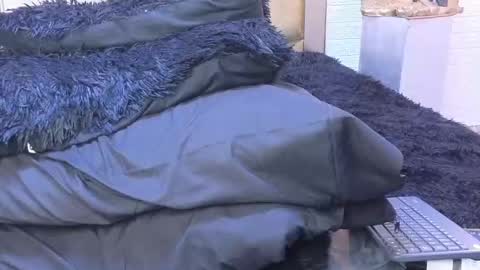 ximena online show from February 22, 3:34 am