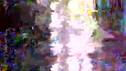 xixo6969 online show from February 3, 2:53 am