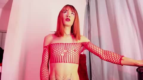 xmistresspervet online show from December 17, 1:06 pm