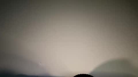 xmomentumx online show from January 26, 7:31 pm